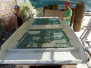 Sigrid and Michael with ramp, netting is installed
