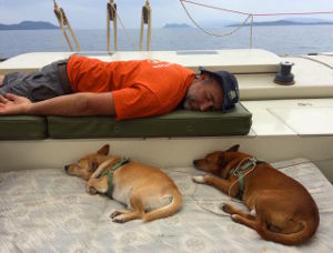 Julius and dogs sleeping on deck