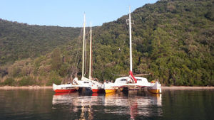 Two catamarans moored next to each other, next to land covered in trees