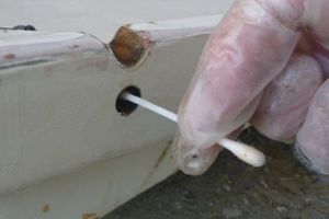 Cotton bud being used to apply epoxy