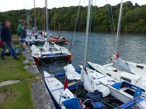 Wharram cats lined up on a quay