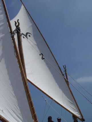 Crabclaw sails
