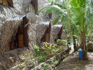 Palm thatched houses