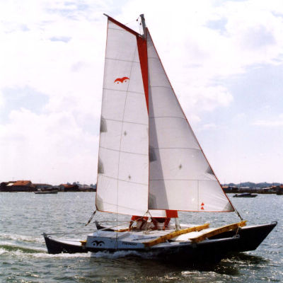 A catamaran sailing in the sunshine