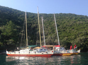 Two catamarans moored next to each other, next to land covered in trees