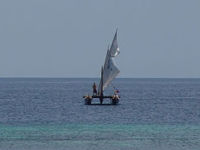 Tama Moana sailing into the horizon