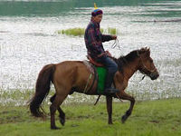 Mongolian horse rider