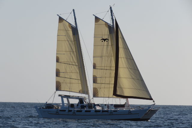 Large catamaran with three sails, cruising on blue seas