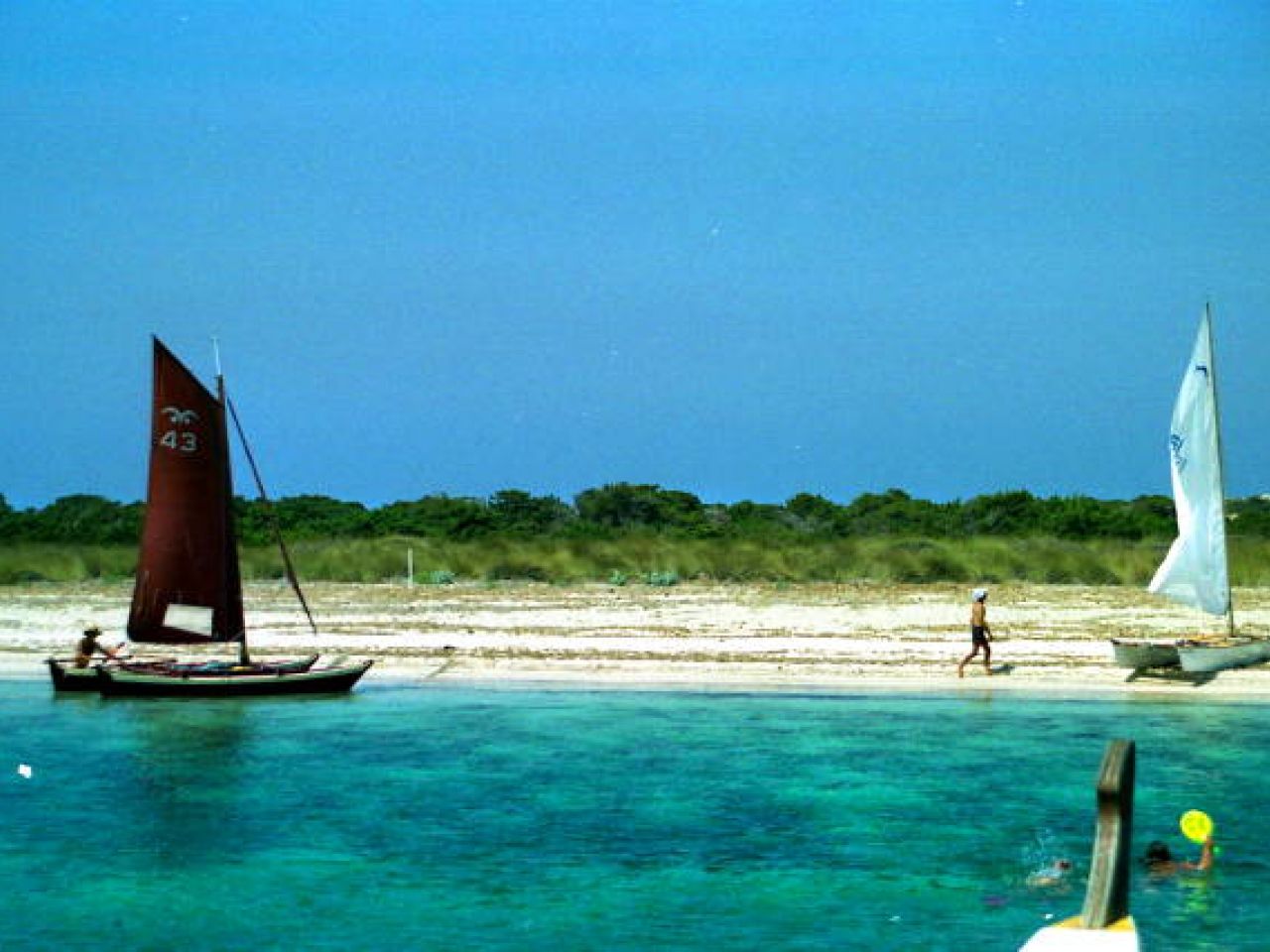 Two small catamarans just off the shore next to a beach