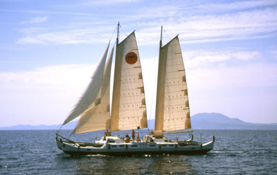 Wharram Pahi 63 sailing