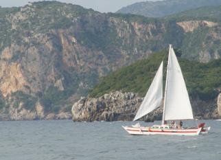 Catamaran sailing along a coastline