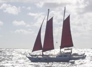 Tiki 38 sailing