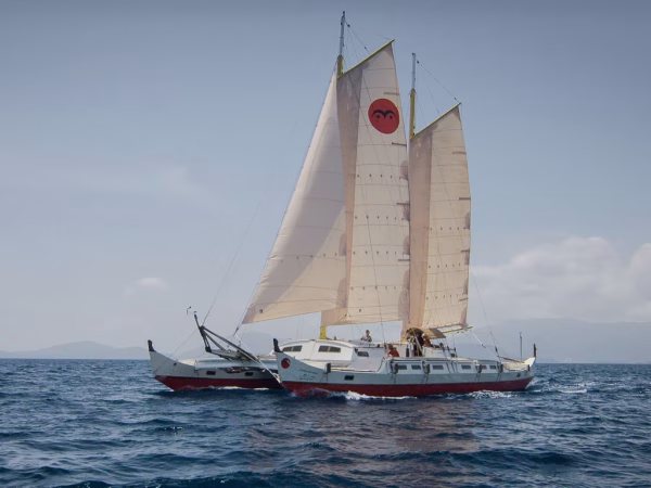 Large white and red catamaran cruising