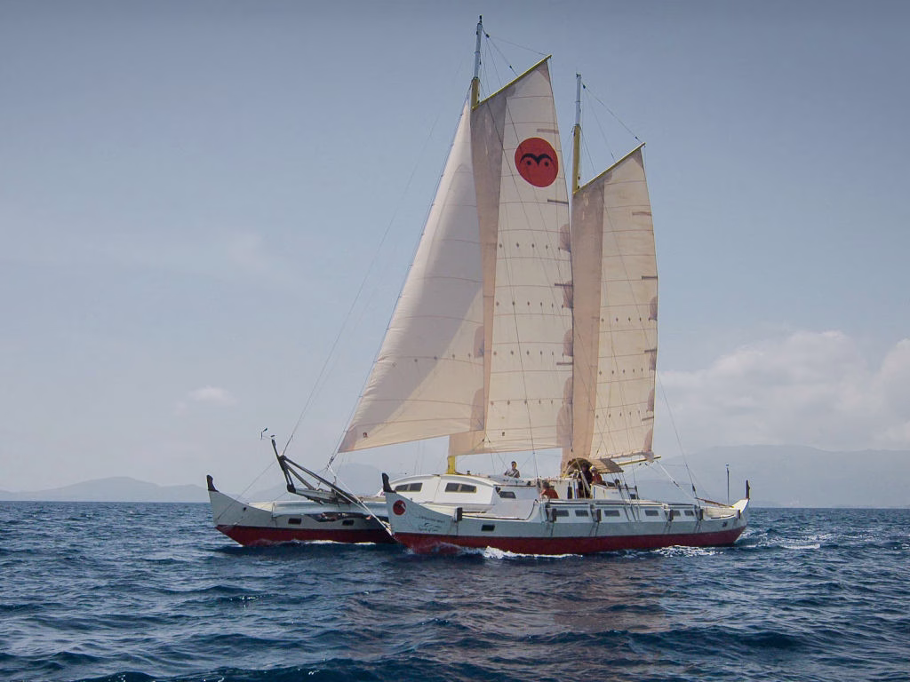 Large white and red catamaran cruising