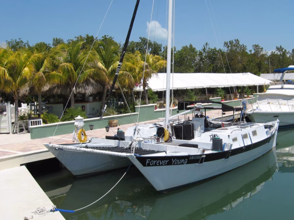 Catamaran called Forever Young