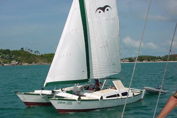 White catamaran sailing