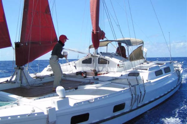 Catamaran with red sails, two people aboard
