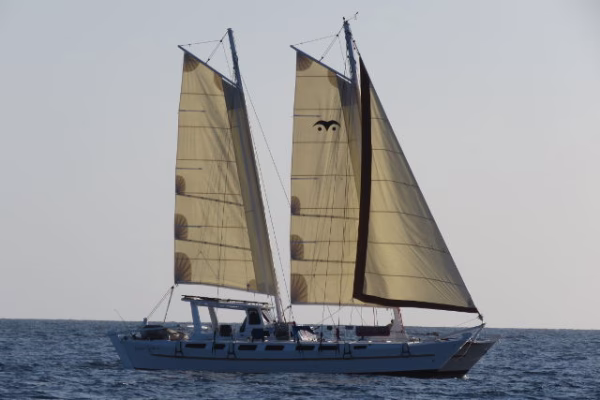 A large catamaran sailing
